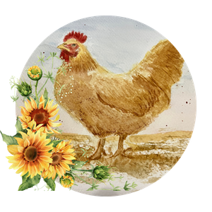 Shop Chicken Coop Watercolor